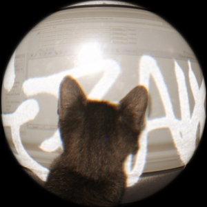 LerpCat
