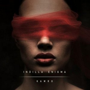 Image for 'Indilla Enigma'