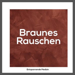 Image for 'Braunes Rauschen'