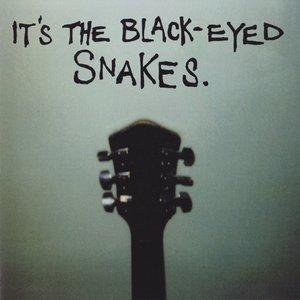 Bild für 'It's The Black Eyed Snakes'