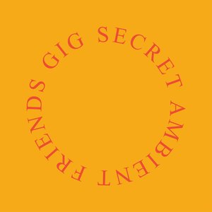 Imagen de 'Secret Ambient Friends Gig'
