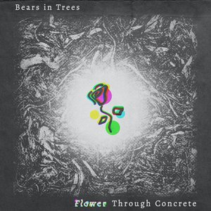 Image for 'Flower Through Concrete'