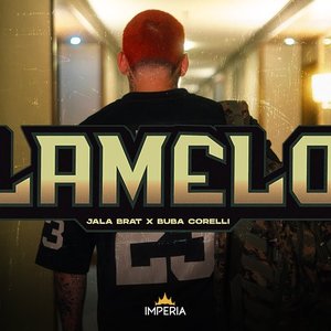 Изображение для 'LaMelo'