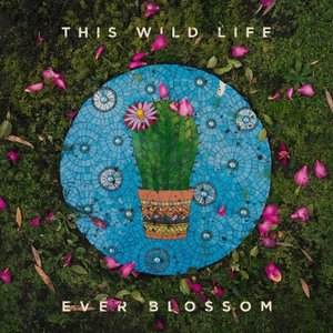 Image for 'Ever Blossom'