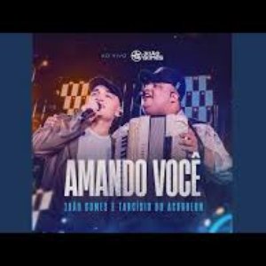 Image for 'Amando Você (Ao Vivo)'