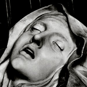 Image for 'The Ecstasy of Saint Teresa'