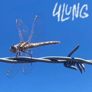 Imagen de 'Barbed Wire Dragonfly'