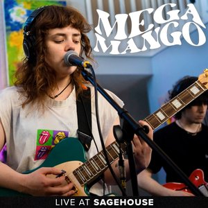 Immagine per 'Mega Mango (Live at Sagehouse)'