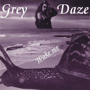 Bild für 'Wake Me'