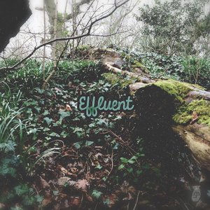 Image pour 'Effluent'