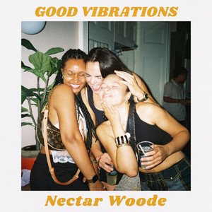 Изображение для 'Good Vibrations'