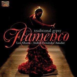 Image for 'Traditional Gypsy Flamenco'