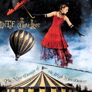 Image for 'The Near Demise of the Highwire Dancer'