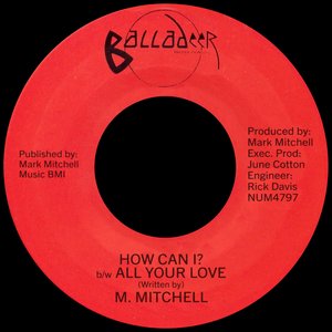 'How Can I? b/w All Your Love'の画像