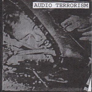 Image for 'Audio Terrorism'