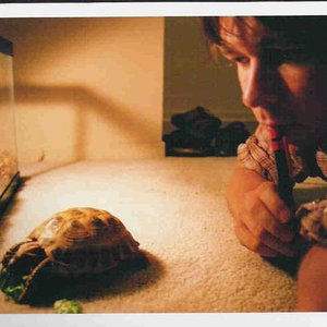 Imagem de 'Darren Hanlon'