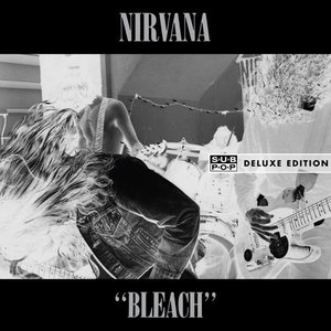 Image for 'Bleach (20th Anniversary Edition)'