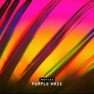 Imagen de 'Purple Haze'