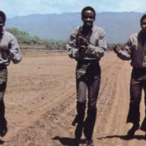 “The Slickers”的封面
