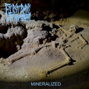 Image for 'Mineralized'