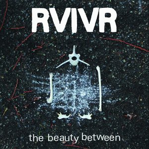 Image for 'The Beauty Between'