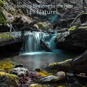 Image for 'el naturel'