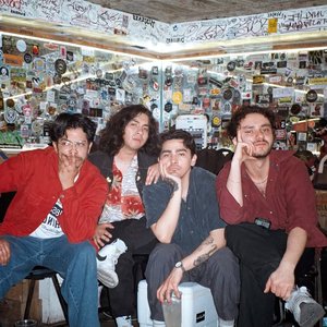 “Pájaros Vampiro”的封面