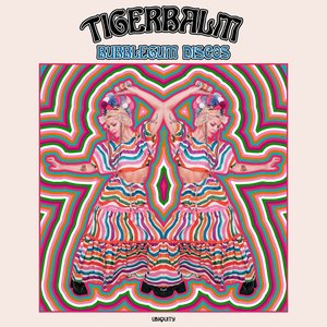 Image for 'Bubblegum Discos'