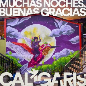 Image for 'Muchas Noches, Buenas Gracias'