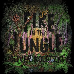 Immagine per 'Fire in the Jungle'