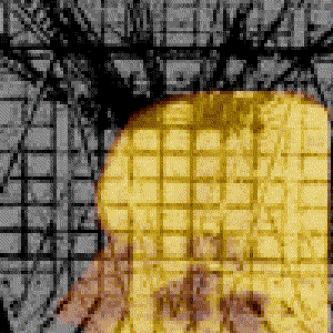 Image for 'Haeckeflosse'