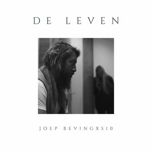 Image for 'De Leven'