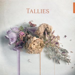 Image for 'Tallies'