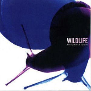 Image for 'Wildlife'