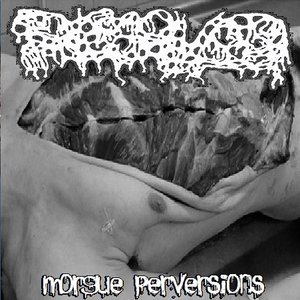 Image for 'Morgue Perversions'