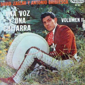 Image for 'David Zaizar'