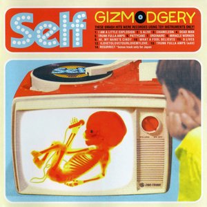 “Gizmodgery”的封面