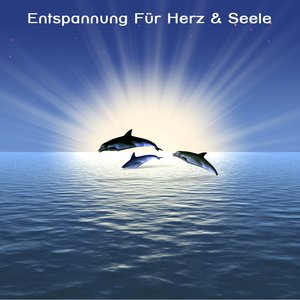 Image for 'Entspannung Für Herz & Seele - Yoga, SPA , Wellness Musik'