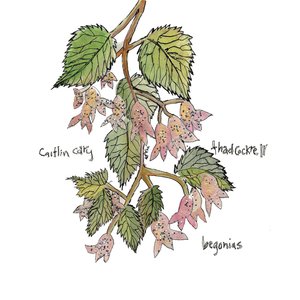 “Begonias”的封面