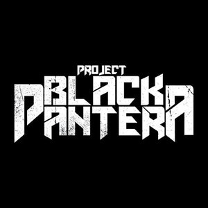 Image for 'Project Black Pantera'
