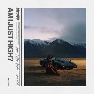 'am i just high?'の画像