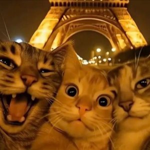 Image for 'TEKKCAT'