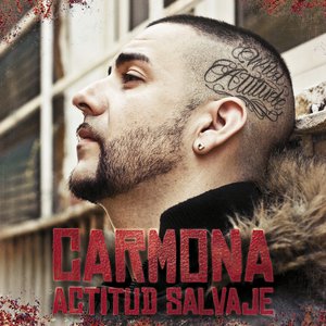 Image for 'Actitud Salvaje'