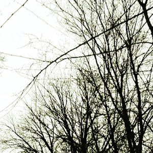 Image for 'Lethargic'