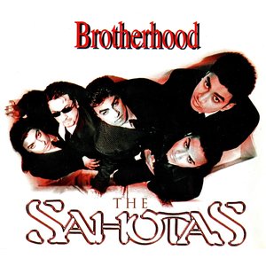 Image for 'Brotherhood'