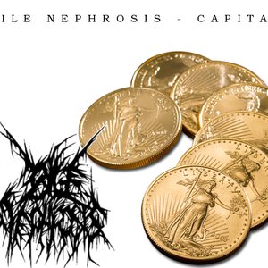 Image for 'Capital'