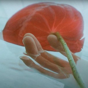Изображение для 'SHALLOW (PPL SWIM IN SHALLOW WATER)'