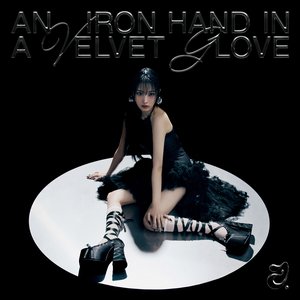 “An Iron Hand In A Velvet Glove”的封面