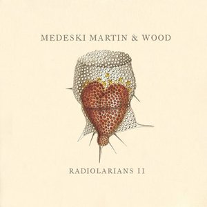 Image for 'Radiolarians II'