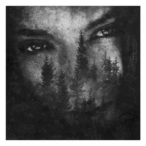 'The Ashes of Light' için resim